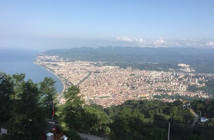 Ordu'da En İyi Avukatlar